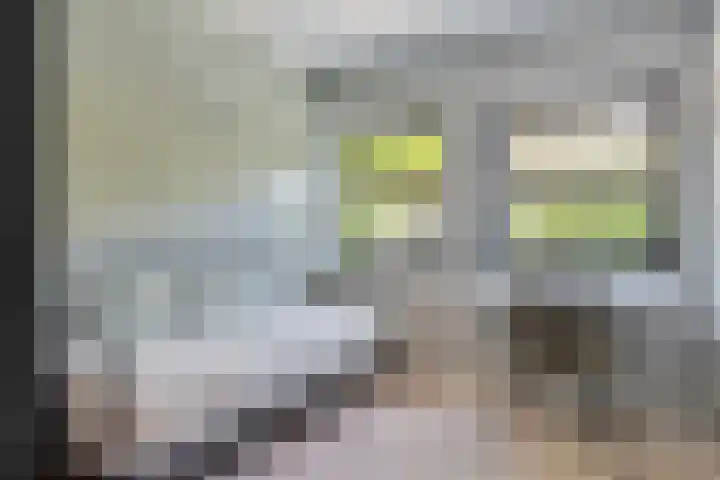 Oranjeweg 12 b Wapenveld thumbnail 23