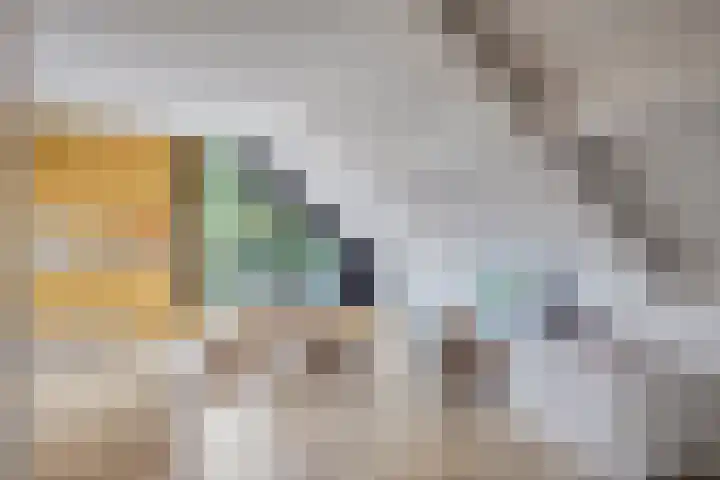 Oranjeweg 12 b Wapenveld thumbnail 31