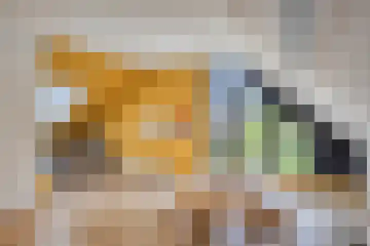 Oranjeweg 12 b Wapenveld thumbnail 32