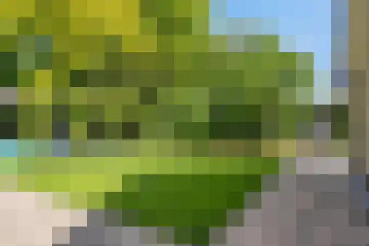 Oranjeweg 12 b Wapenveld thumbnail 35