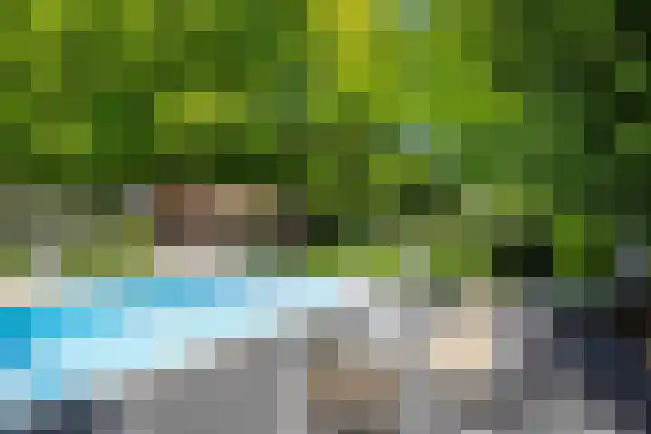 Oranjeweg 12 b Wapenveld thumbnail 36