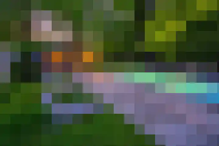 Oranjeweg 12 b Wapenveld thumbnail 39