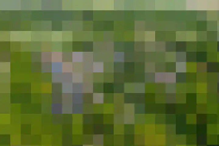 Oranjeweg 12 b Wapenveld thumbnail 4