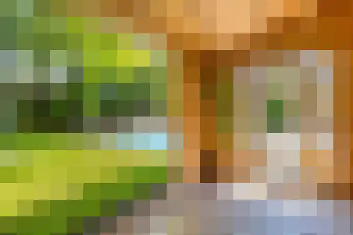 Oranjeweg 12 b Wapenveld thumbnail 42