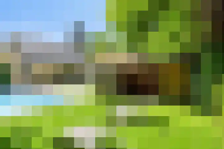 Oranjeweg 12 b Wapenveld thumbnail 44
