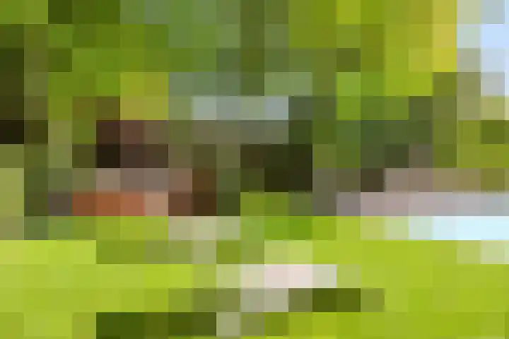 Oranjeweg 12 b Wapenveld thumbnail 48