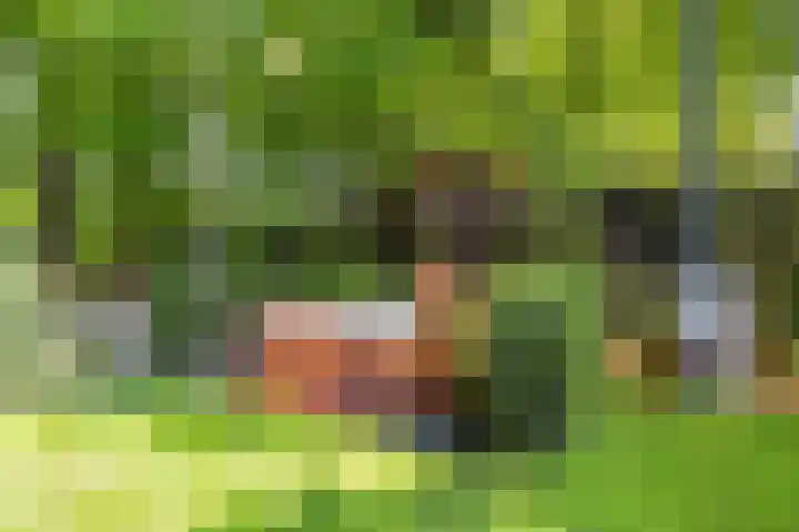Oranjeweg 12 b Wapenveld thumbnail 49