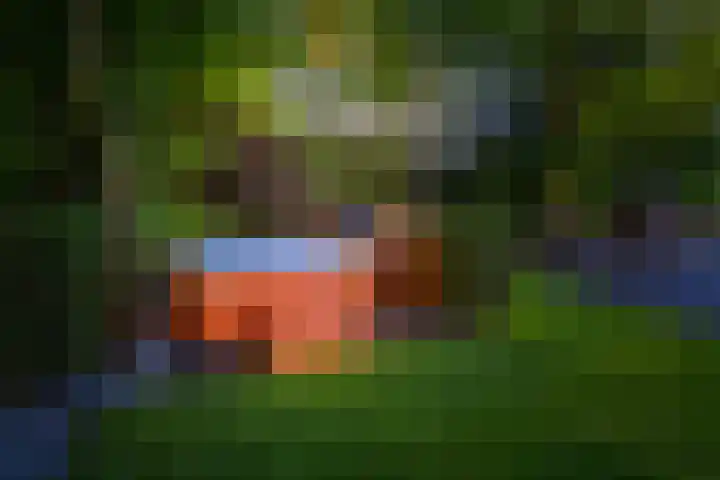 Oranjeweg 12 b Wapenveld thumbnail 50