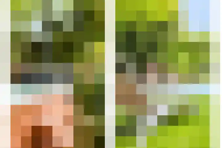 Oranjeweg 12 b Wapenveld thumbnail 51