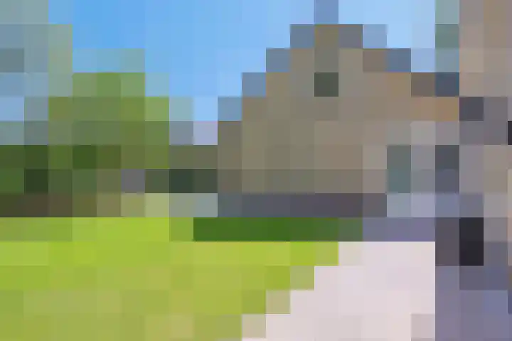 Oranjeweg 12 b Wapenveld thumbnail 52