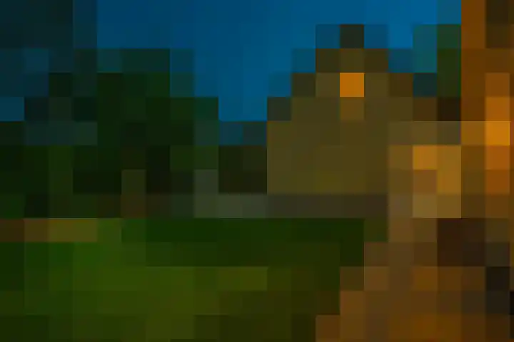 Oranjeweg 12 b Wapenveld thumbnail 53