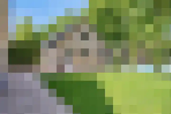 Oranjeweg 12 b Wapenveld thumbnail 58