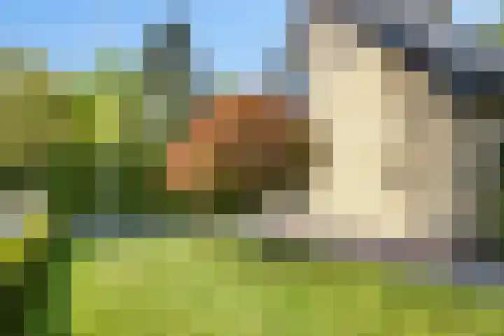 Oranjeweg 12 b Wapenveld thumbnail 61
