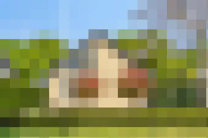 Oranjeweg 12 b Wapenveld thumbnail 62