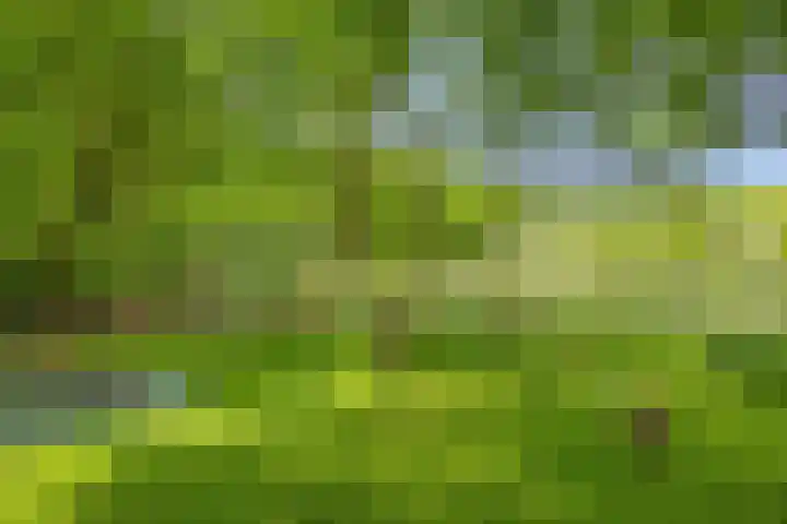 Oranjeweg 12 b Wapenveld thumbnail 69