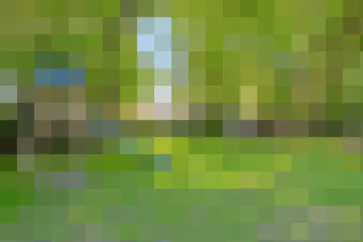 Oranjeweg 12 b Wapenveld thumbnail 70