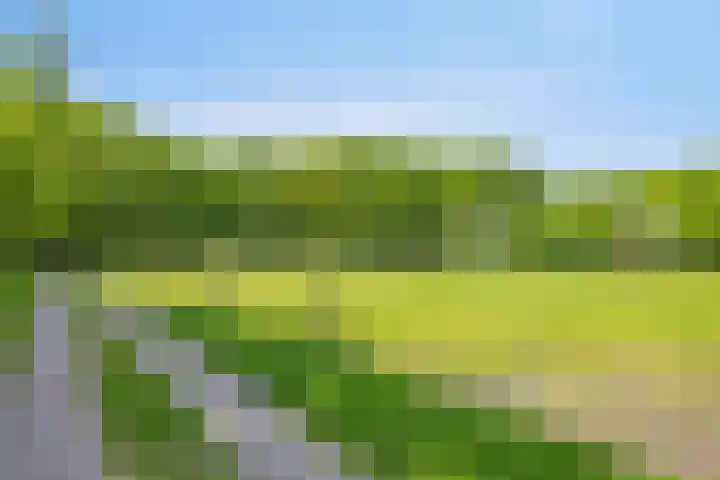Oranjeweg 12 b Wapenveld thumbnail 71