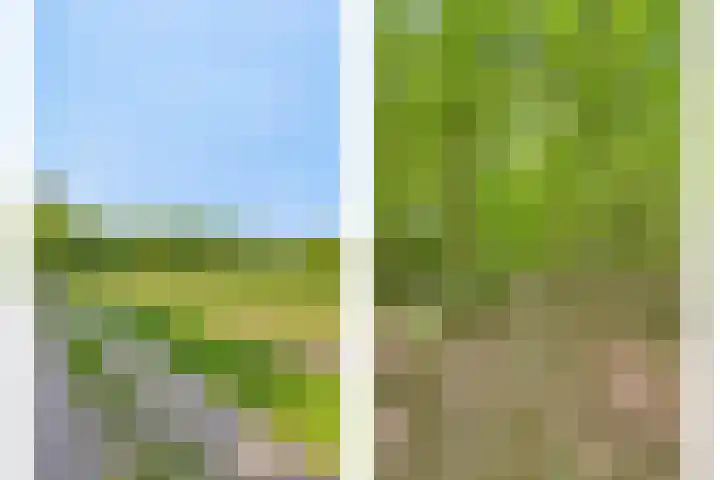 Oranjeweg 12 b Wapenveld thumbnail 72