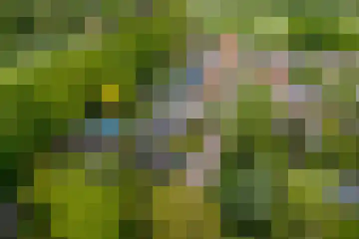 Oranjeweg 12 b Wapenveld thumbnail 75