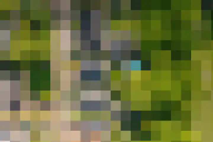 Oranjeweg 12 b Wapenveld thumbnail 76