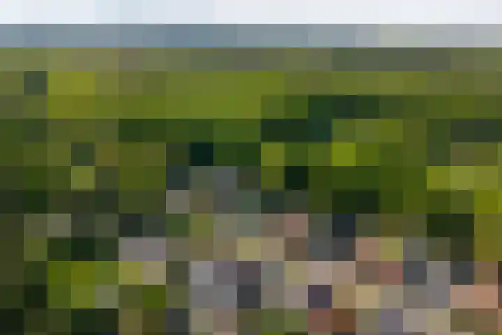 Oranjeweg 12 b Wapenveld thumbnail 77