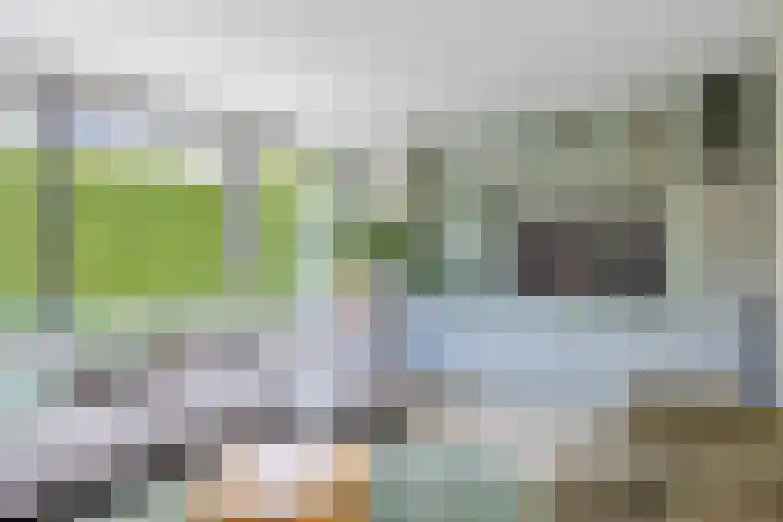 Oranjeweg 12 b Wapenveld thumbnail 9