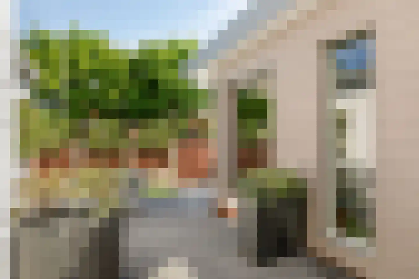 Oranjeweg 181 Rheden thumbnail 41