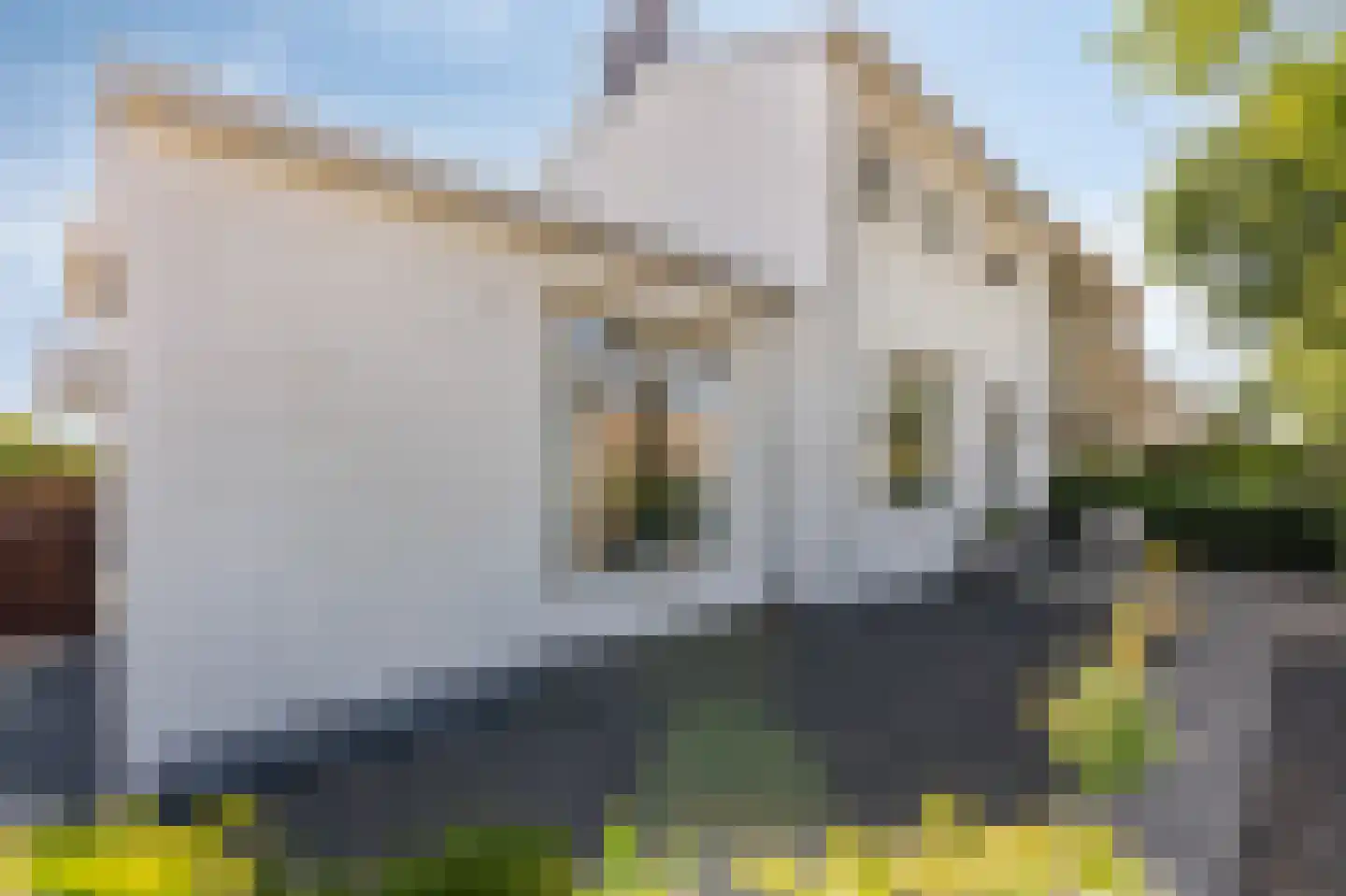 Oranjeweg 181 Rheden thumbnail 44
