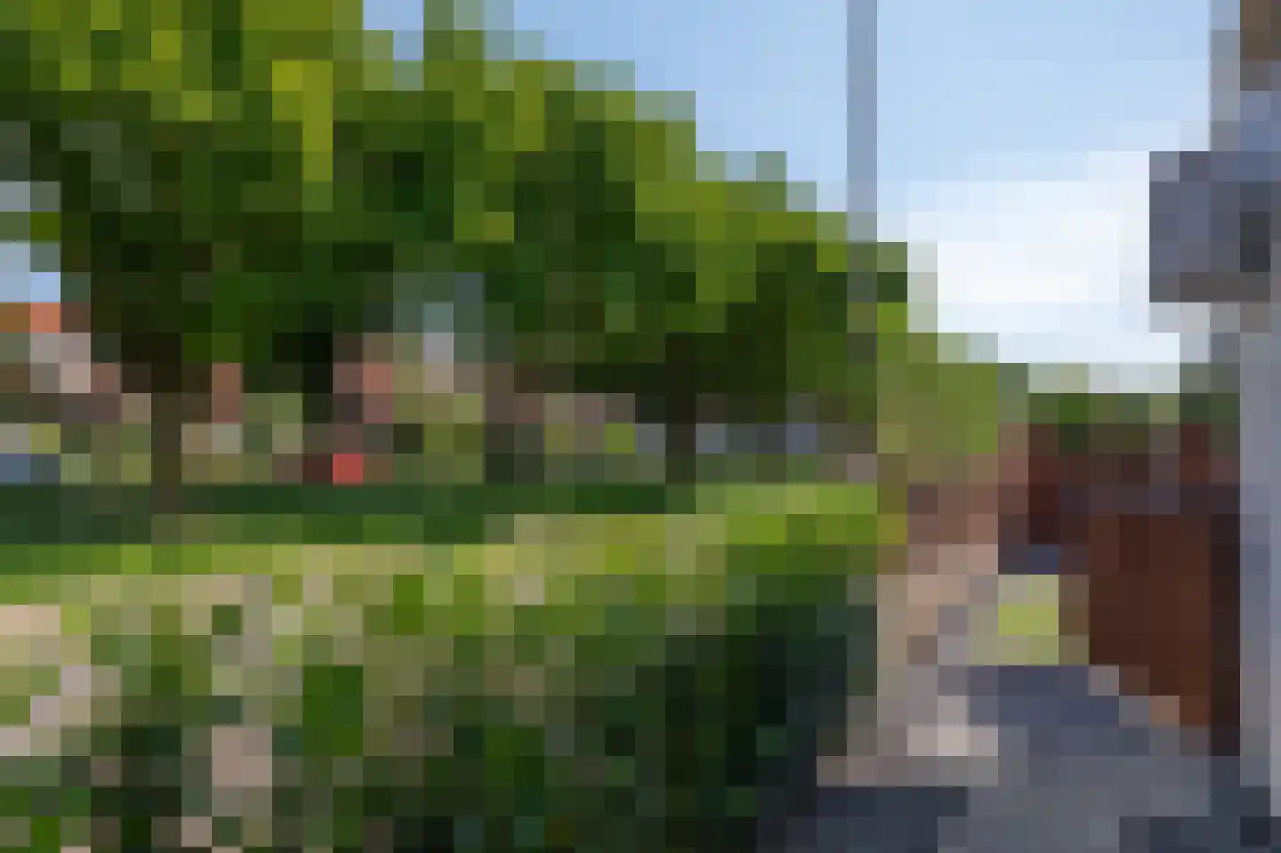 Oranjeweg 181 Rheden thumbnail 46