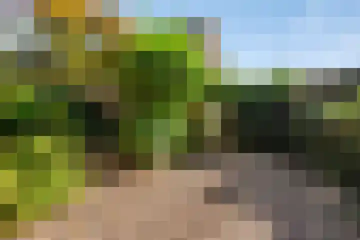 Oranjeweg 19 Oosterbeek thumbnail 26