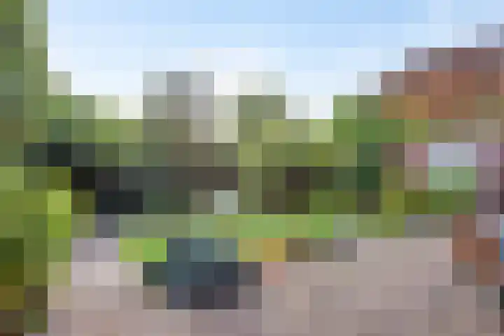 Oranjeweg 19 Oosterbeek thumbnail 27