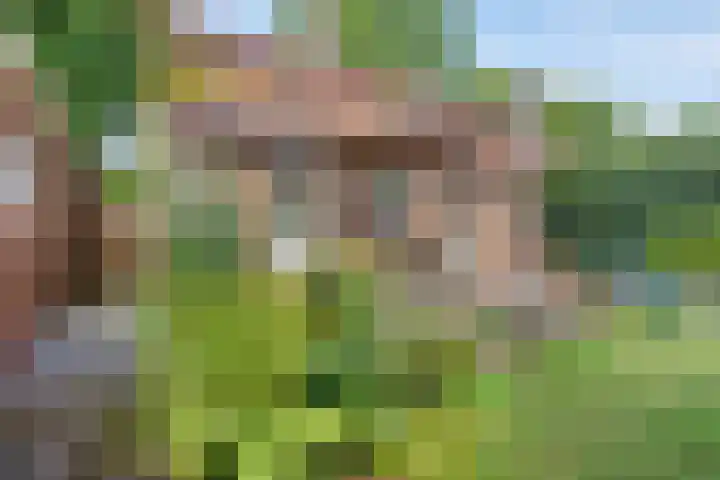 Oranjeweg 19 Oosterbeek thumbnail 28