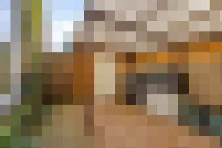 Oranjeweg 19 Oosterbeek thumbnail 31