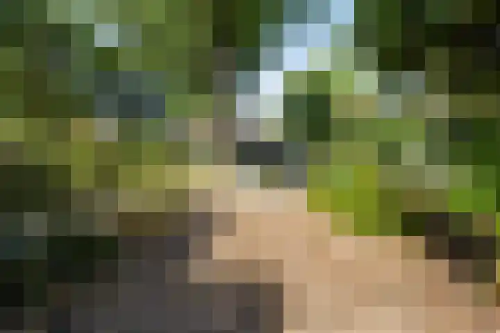 Oranjeweg 19 Oosterbeek thumbnail 33