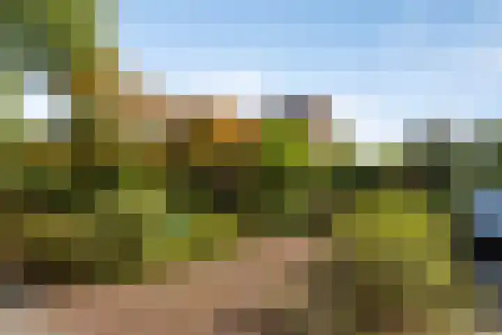 Oranjeweg 19 Oosterbeek thumbnail 34