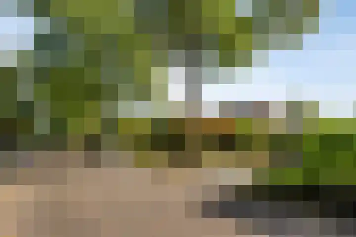 Oranjeweg 19 Oosterbeek thumbnail 35