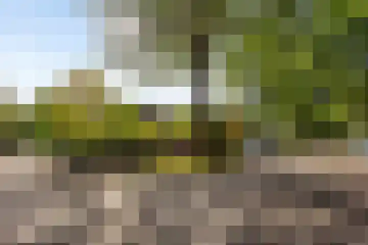 Oranjeweg 19 Oosterbeek thumbnail 36