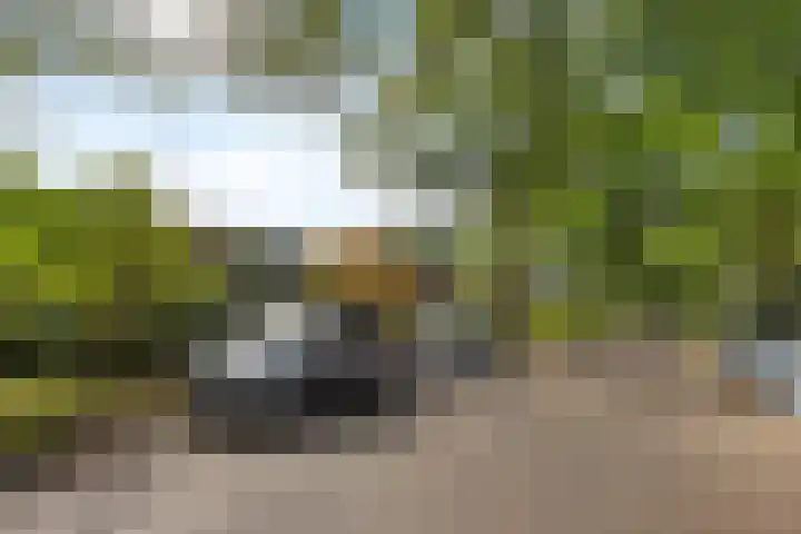 Oranjeweg 19 Oosterbeek thumbnail 37