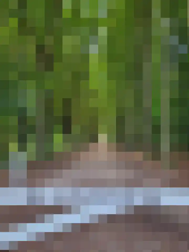 Oranjeweg 19 Oosterbeek thumbnail 39