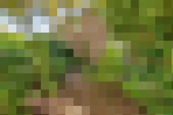 Oranjeweg 19 Oosterbeek thumbnail 47
