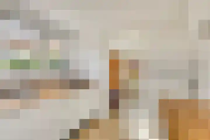 Oranjeweg 19 Oosterbeek thumbnail 7