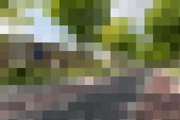 Oranjeweg 195 Rheden thumbnail 20