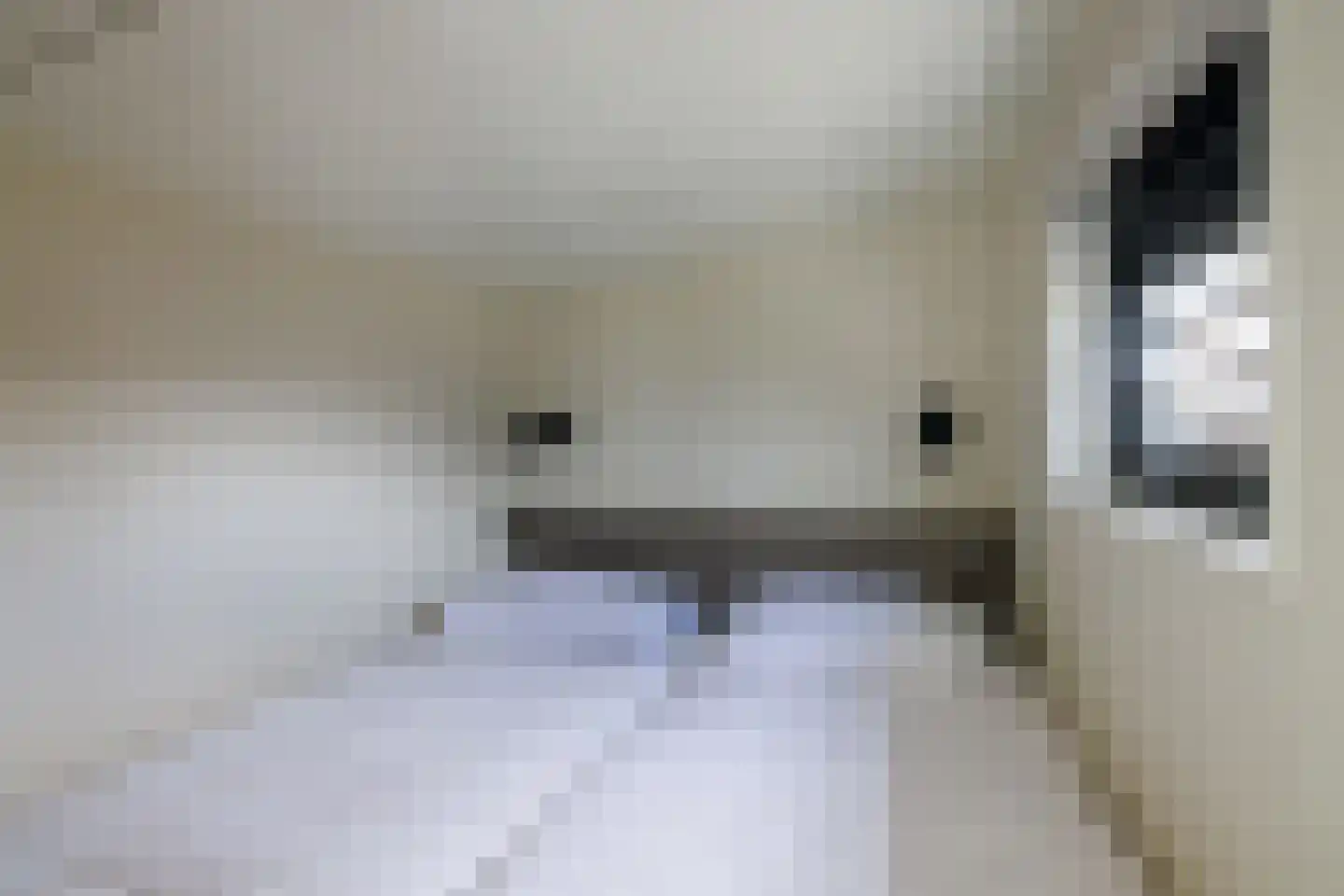 Oranjeweg 40 30 Hollum thumbnail 12