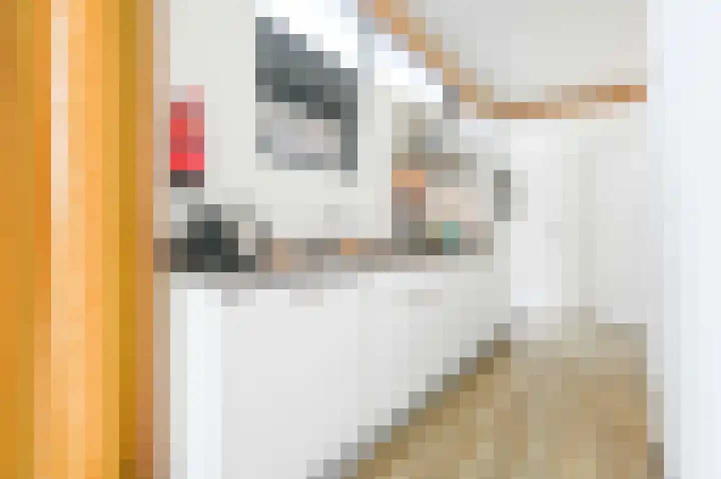 Oranjeweg 40 60 Hollum thumbnail 10