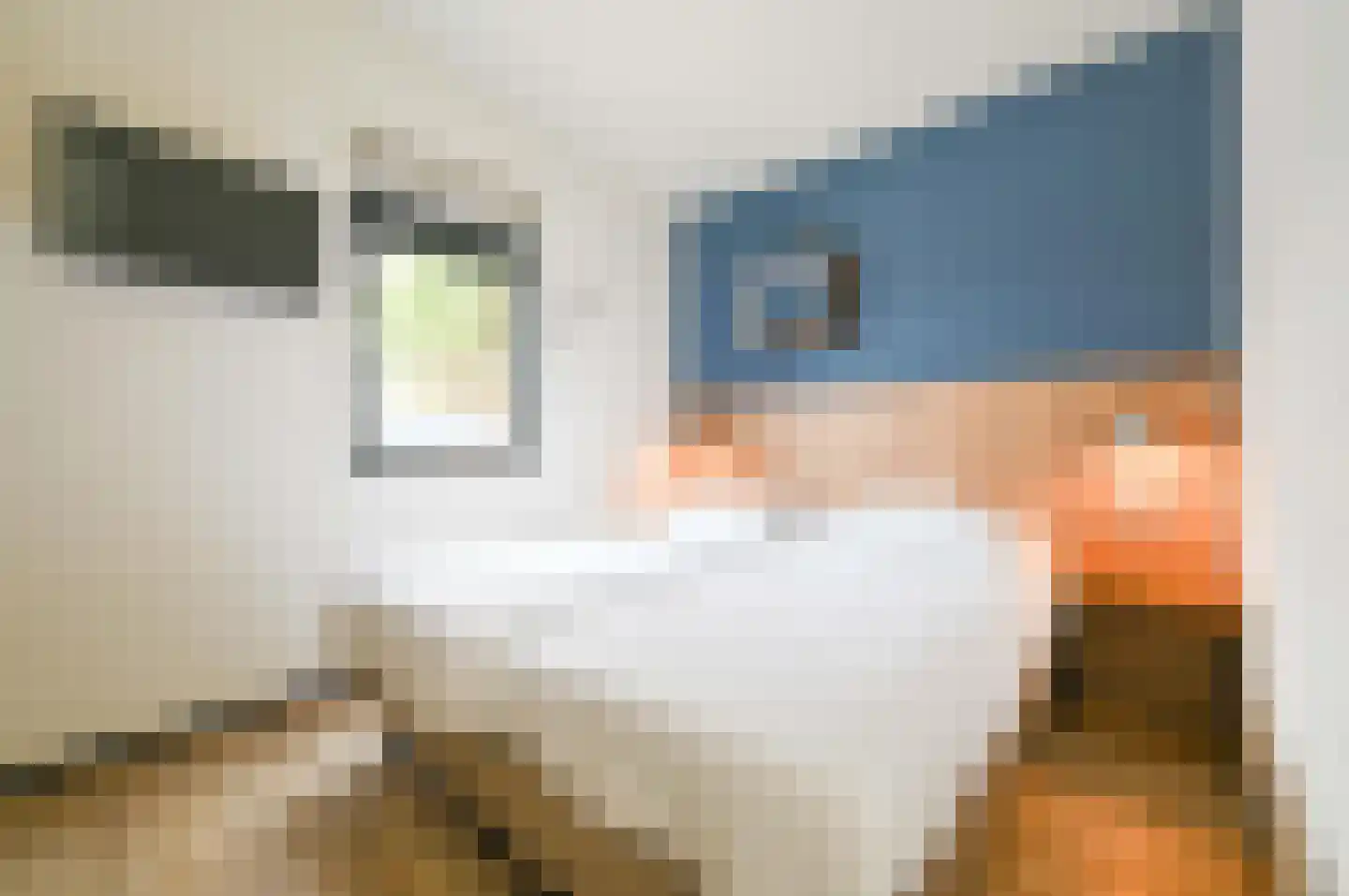 Oranjeweg 40 60 Hollum thumbnail 12