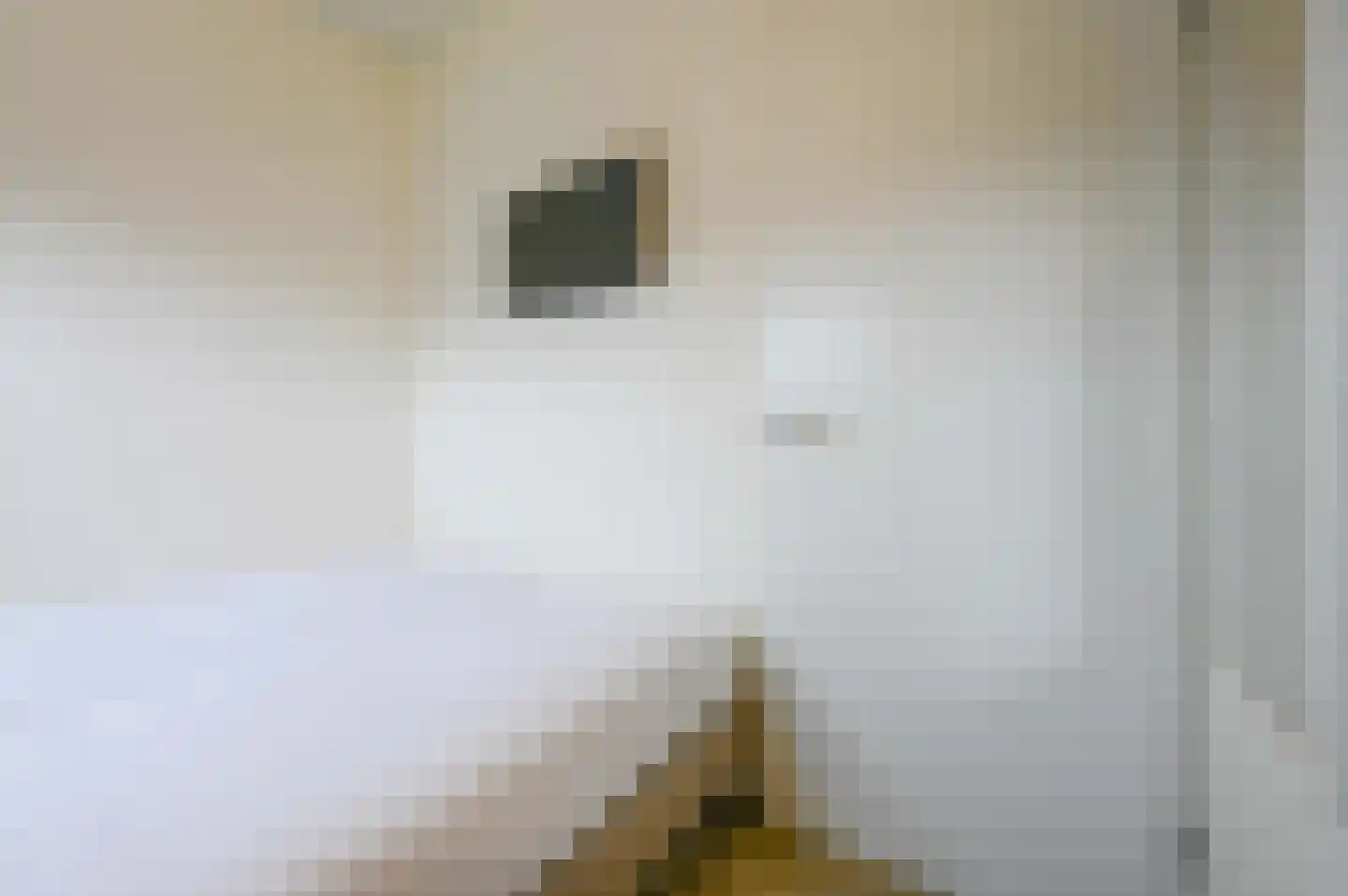 Oranjeweg 40 60 Hollum thumbnail 15