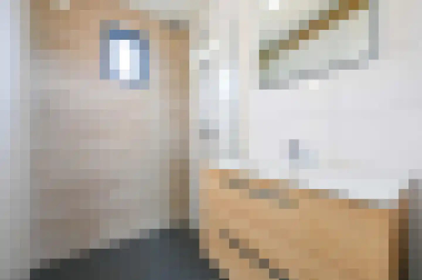 Oranjeweg 40 60 Hollum thumbnail 16