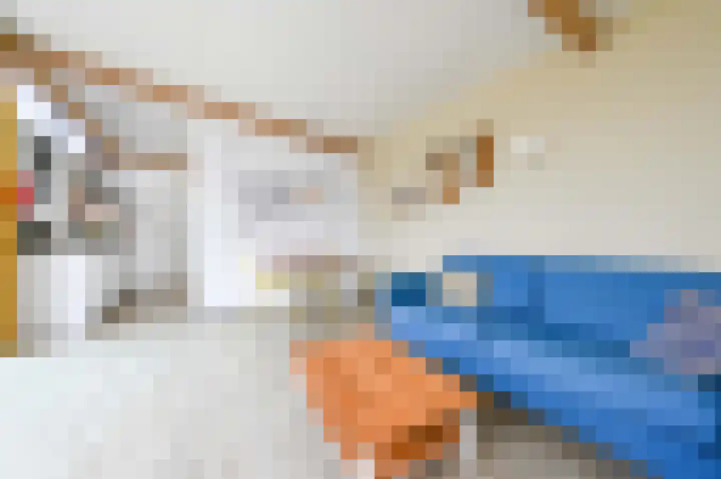 Oranjeweg 40 60 Hollum thumbnail 8