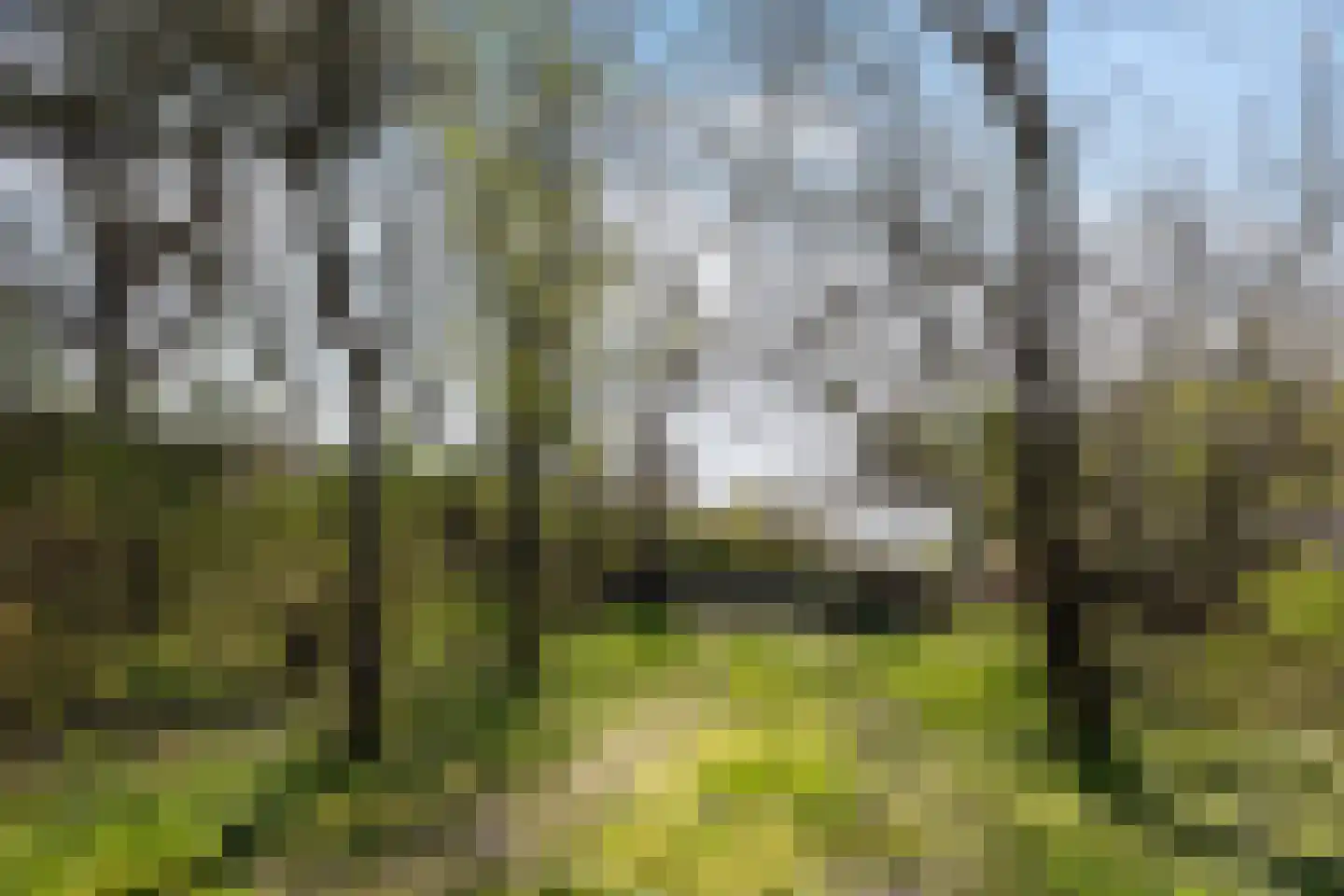 Oranjeweg 42 a Hollum thumbnail 16