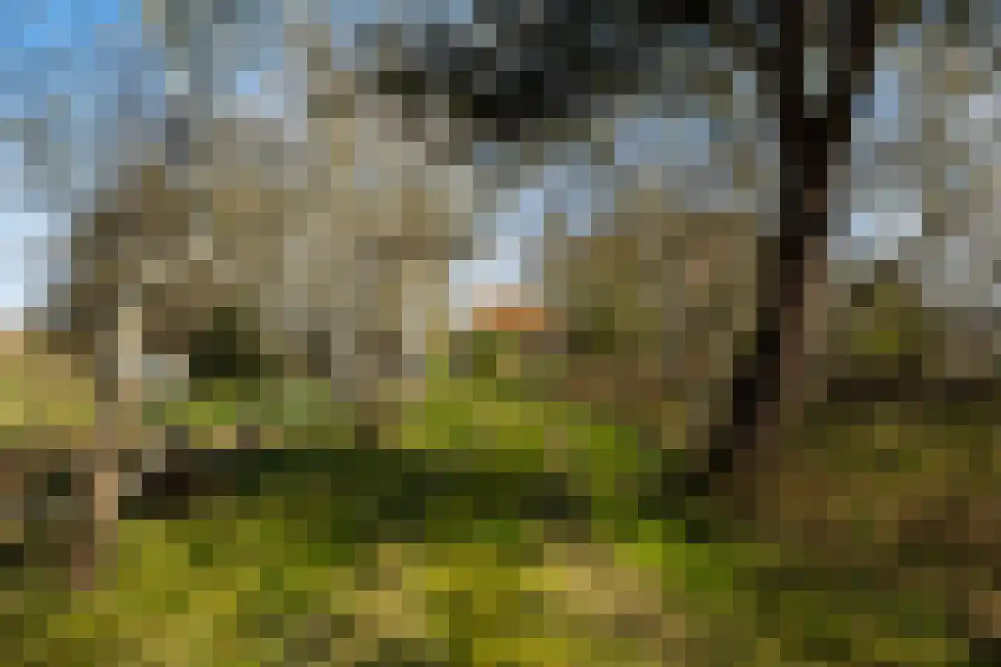 Oranjeweg 42 a Hollum thumbnail 17